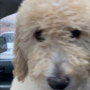 Meet your Posher, Bethany